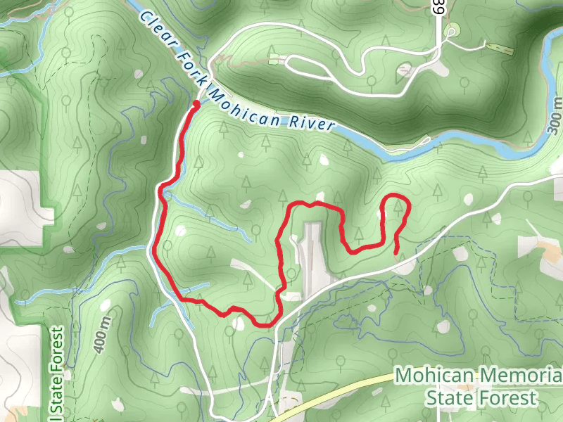 Hog Hollow Trail from Park Road 58