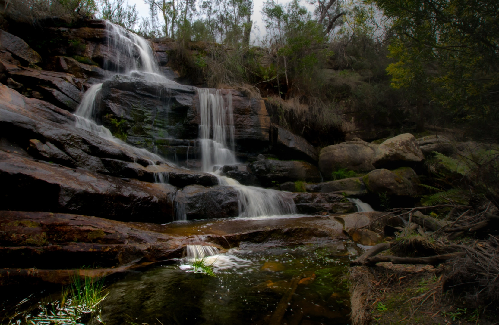 An image depicting the trail Pinnacle Wonderland Forest Trail and its surrounding area.