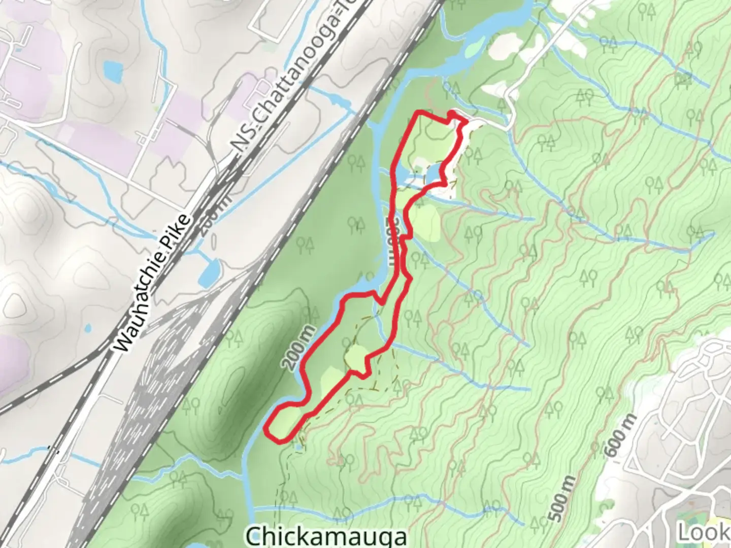 An image depicting the trail Lookout Creek Loop and its surrounding area.