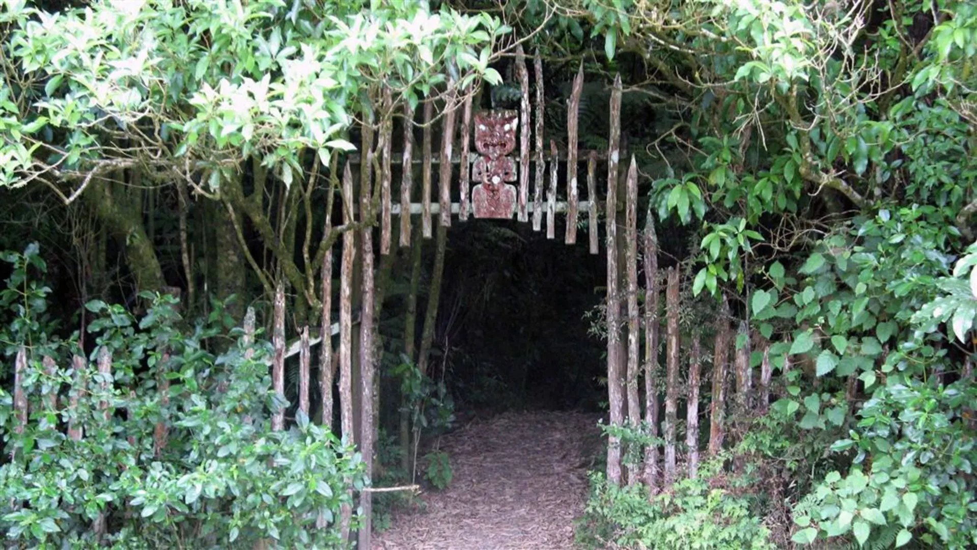 An image depicting the trail Opapaka Pā Walk and its surrounding area.