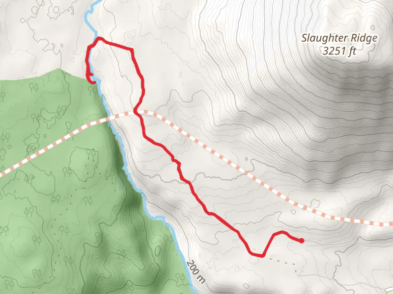 Resurrection Pass and Bean Creek Trail