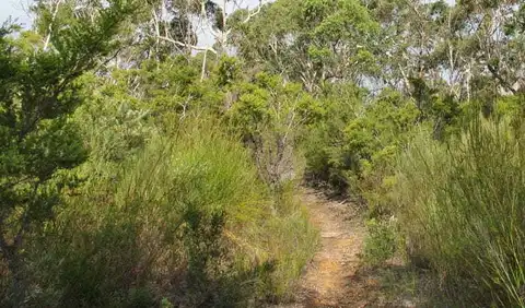 Mooray Track