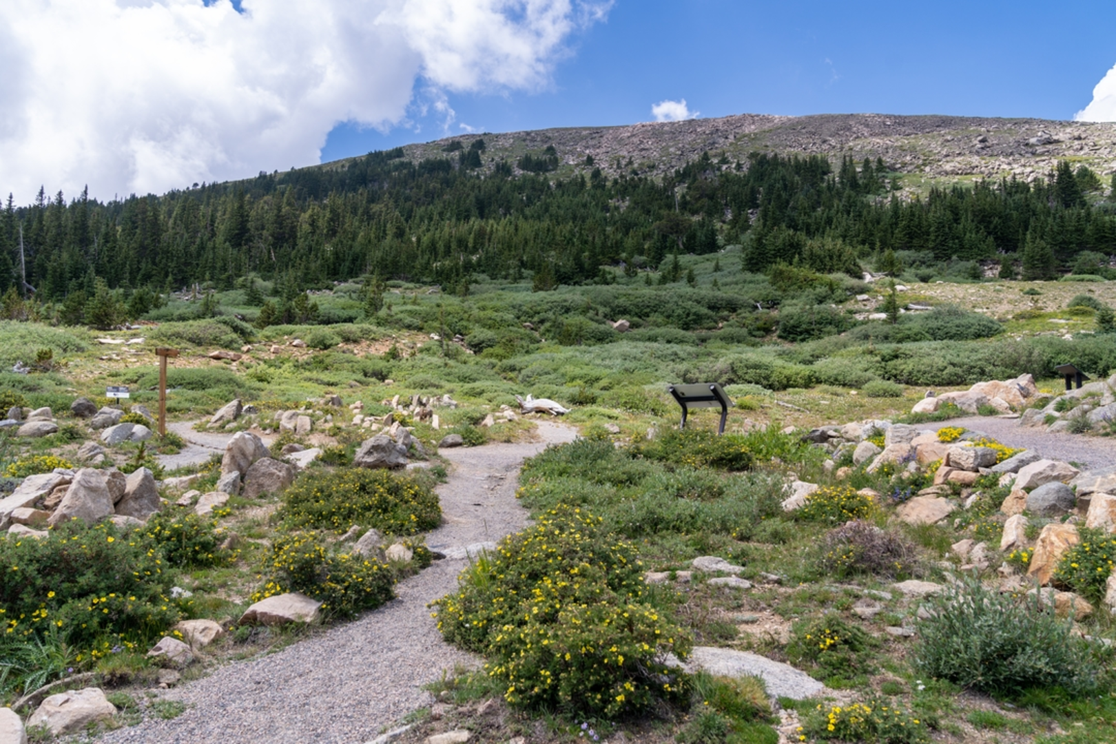 An image depicting the trail Bristlecone Loop Trail and its surrounding area.