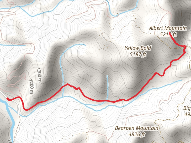 Albert Mountain via Bear Pen Gap Trail