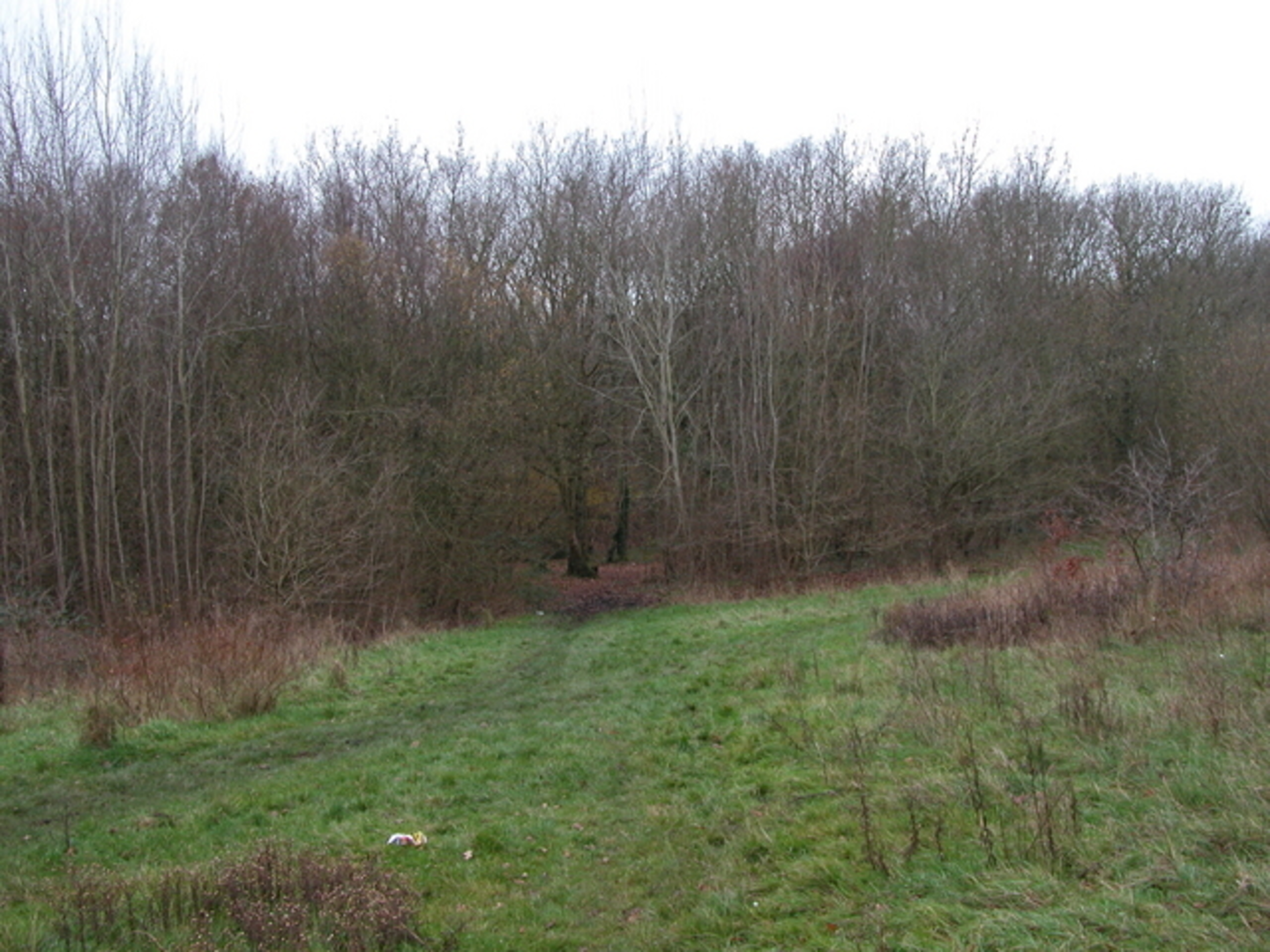 An image depicting the trail Chalton via Sussex Border Path and its surrounding area.