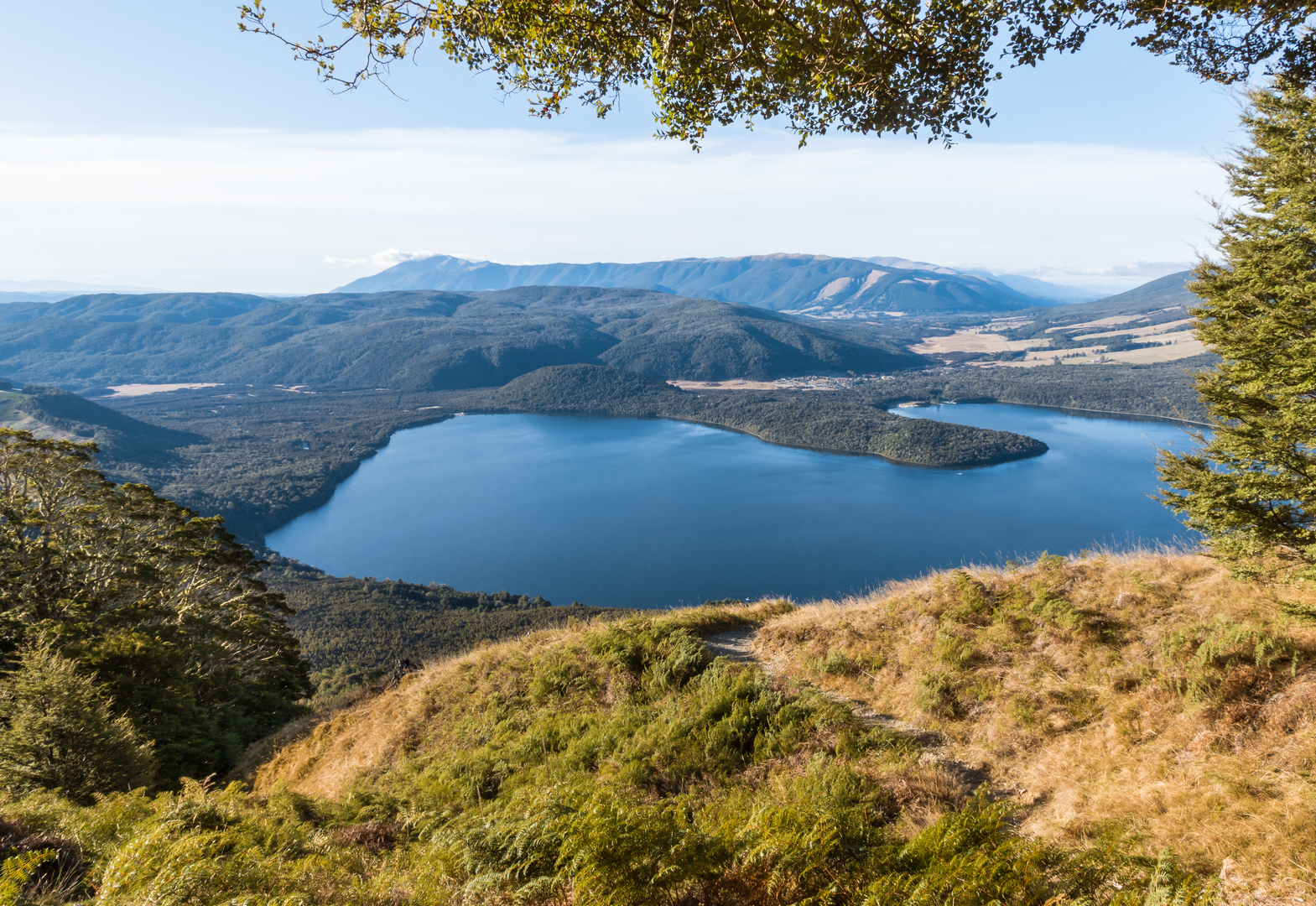 An image depicting the trail Lake Rotoiti - Kerr Bay - Brunner Peninsula Nature Walk and its surrounding area.