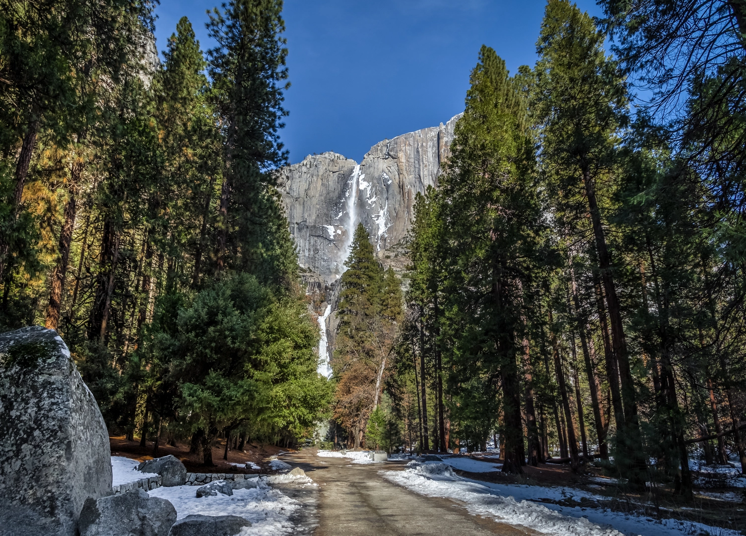 An image depicting the trail Upper Yosemite Fall, Eagle Peak, El Capitan and Old Big Oak Flat Road Loop Trail and its surrounding area.