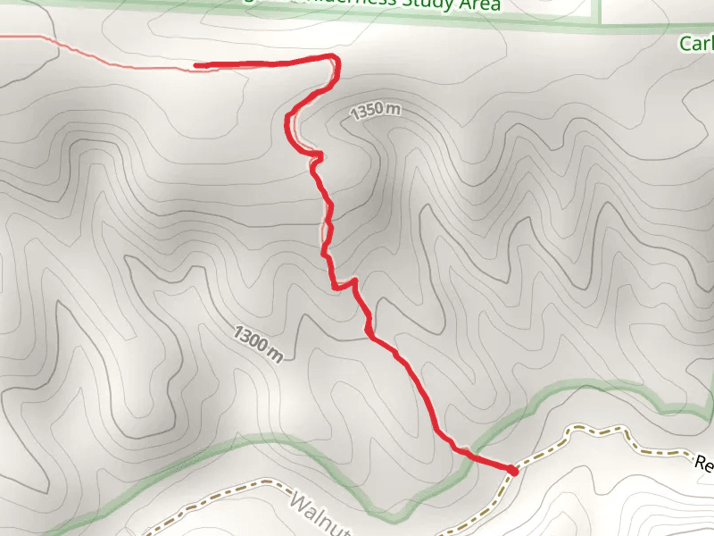 Juniper Ridge Trail