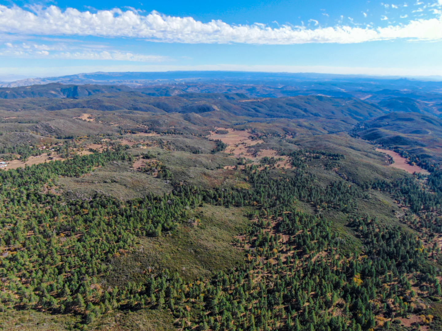 An image depicting the trail Pine Valley via Crabtree Tree Trail and its surrounding area.