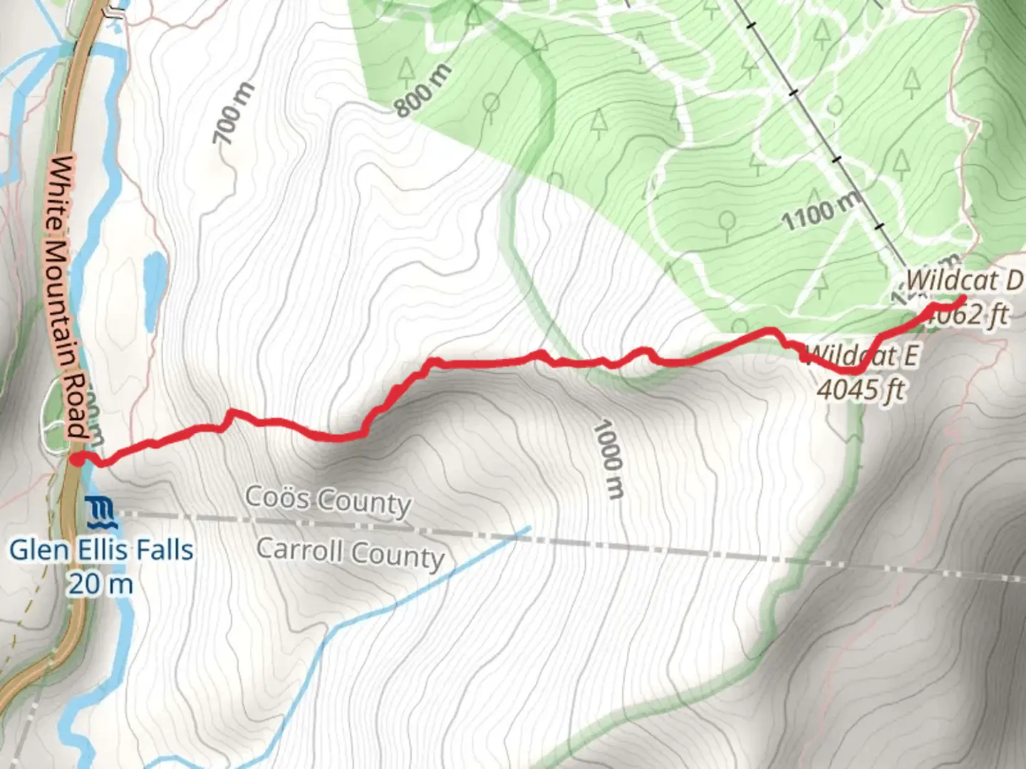 An image depicting the trail Wildcat D via Wildcat Ridge Trail and its surrounding area.