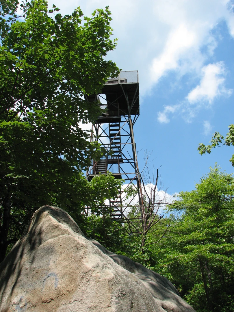 An image depicting the trail Mount Davis from Devis Road and its surrounding area.