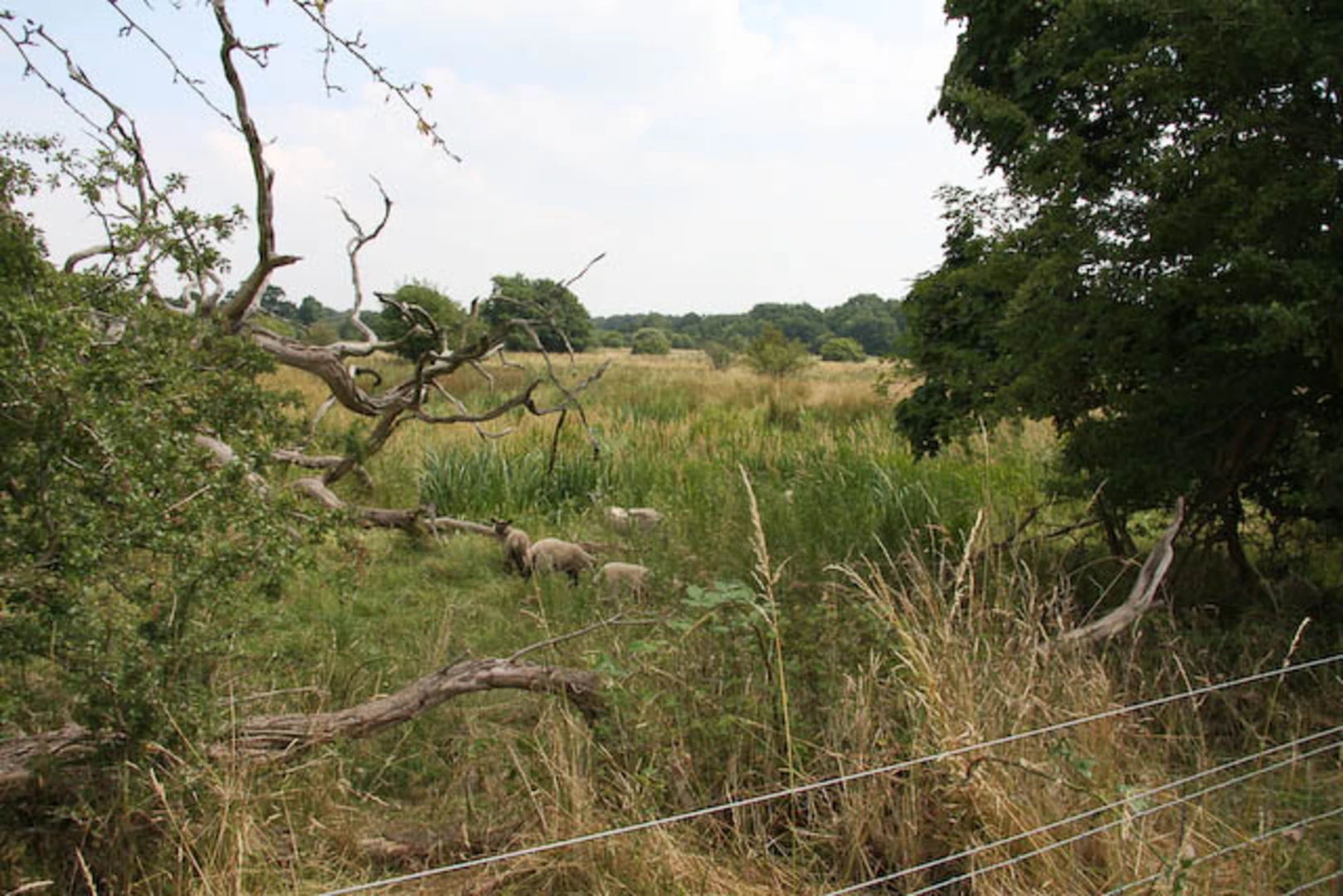 An image depicting the trail The Brecks from near Thompson and its surrounding area.