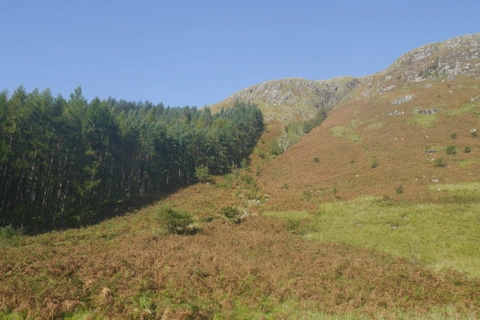 Creach Bheinn