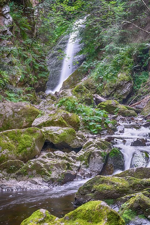 Hollsteig and Baschihof - Steietenhausle Loop