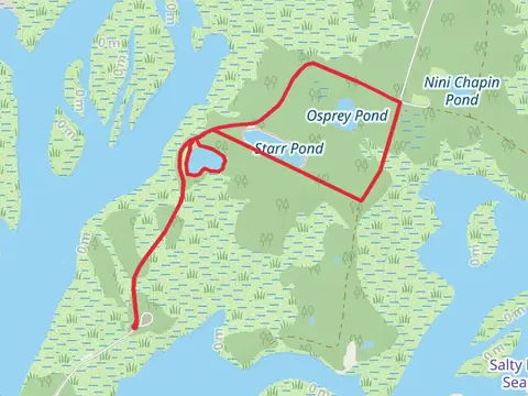 Skull Creek Loop