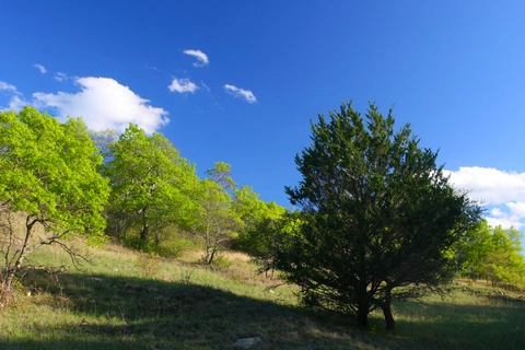 LBJ Grasslands - Blue Trail