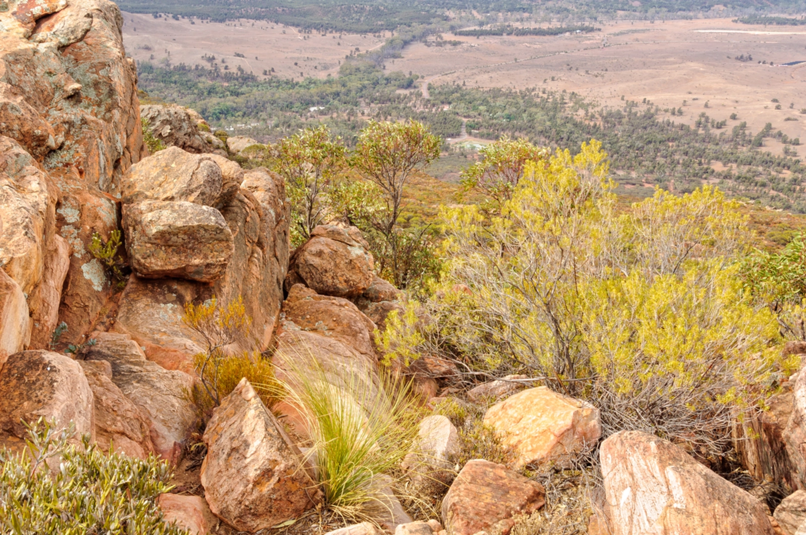 An image depicting the trail Mount Ohlssen Bagge Hike and its surrounding area.
