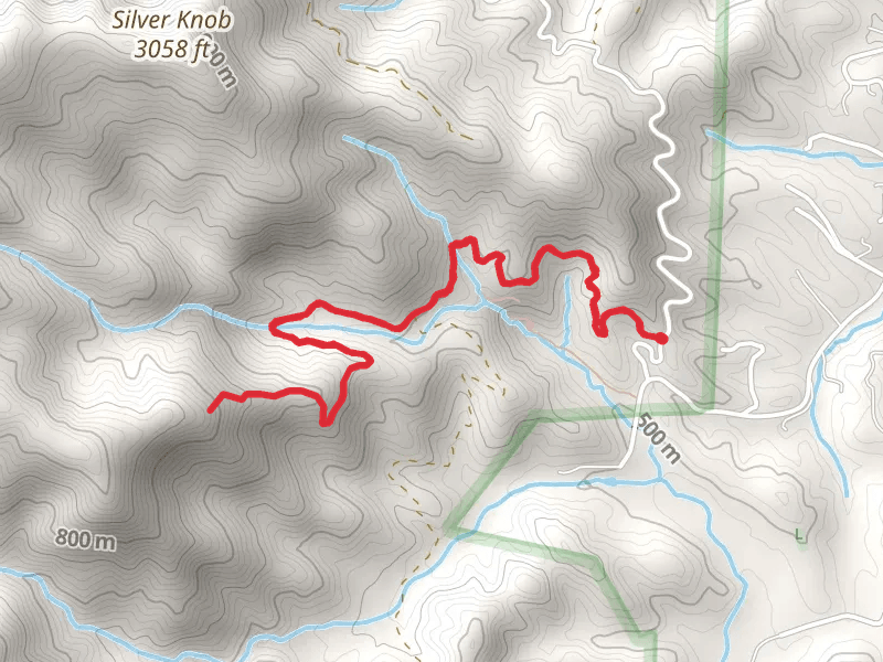 Toms Creek and Falls Branch