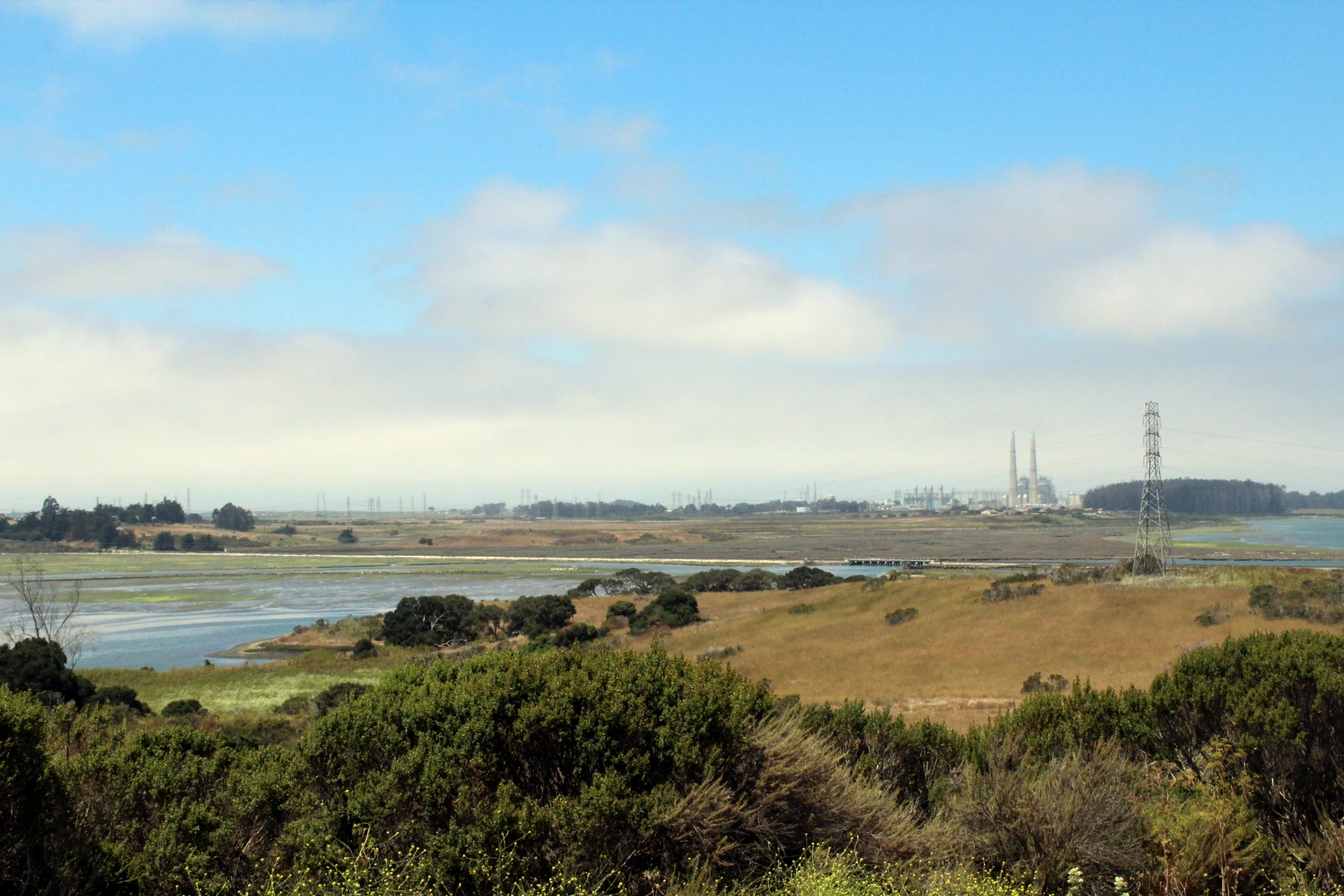 An image depicting the trail Elkhorn Slough Reserve Short Walk and its surrounding area.