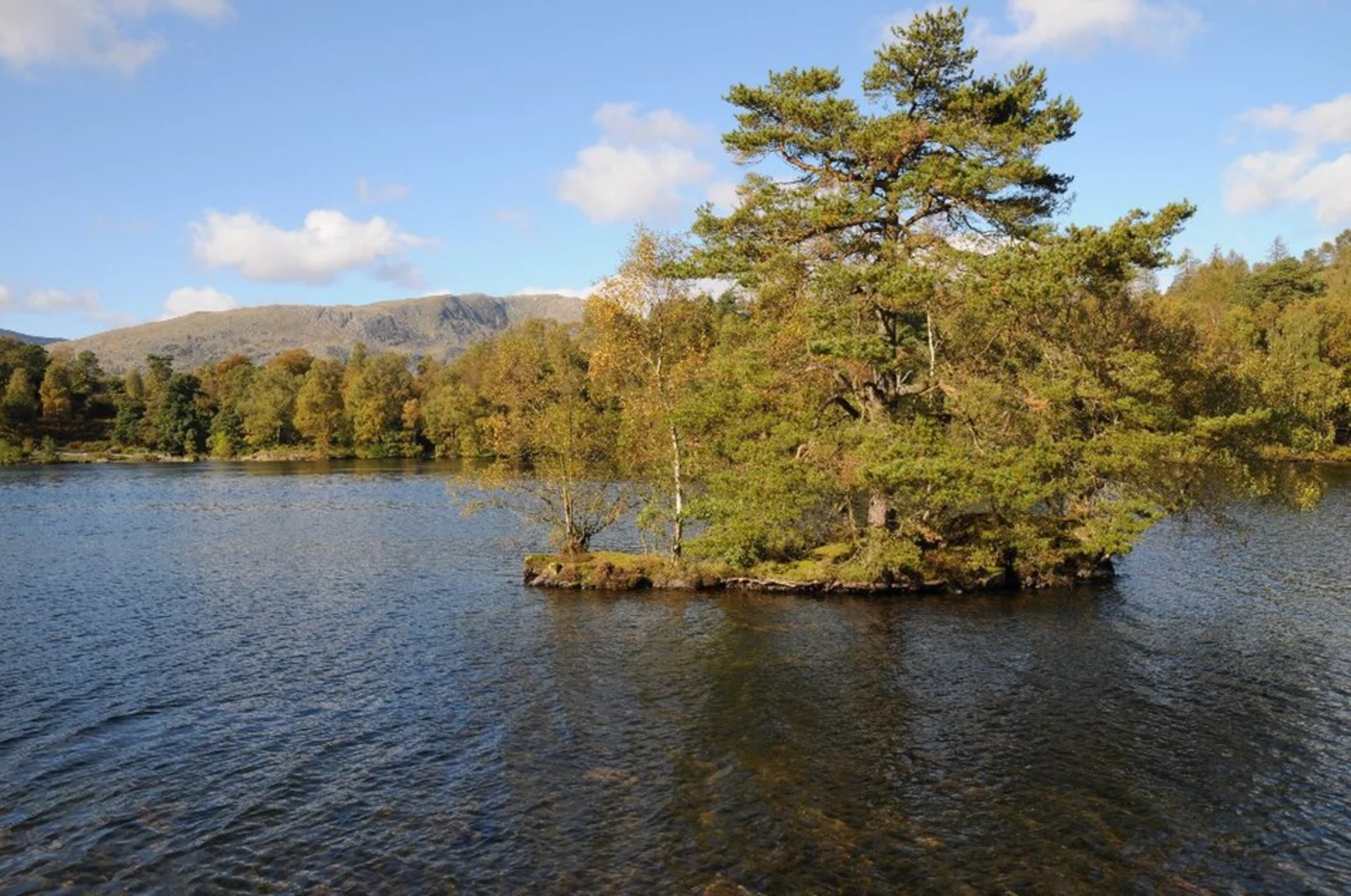 An image depicting the trail Tarn Hows and Sawrey Ground Plantation and its surrounding area.