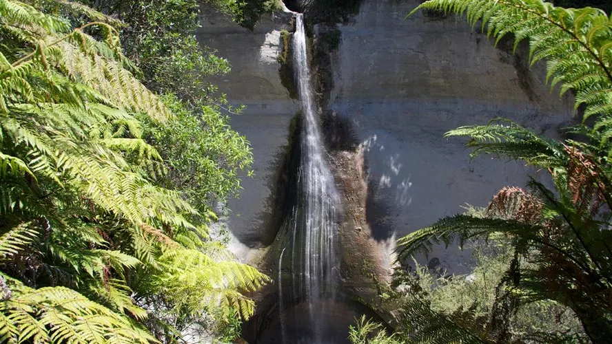 Mount Damper Falls Walk