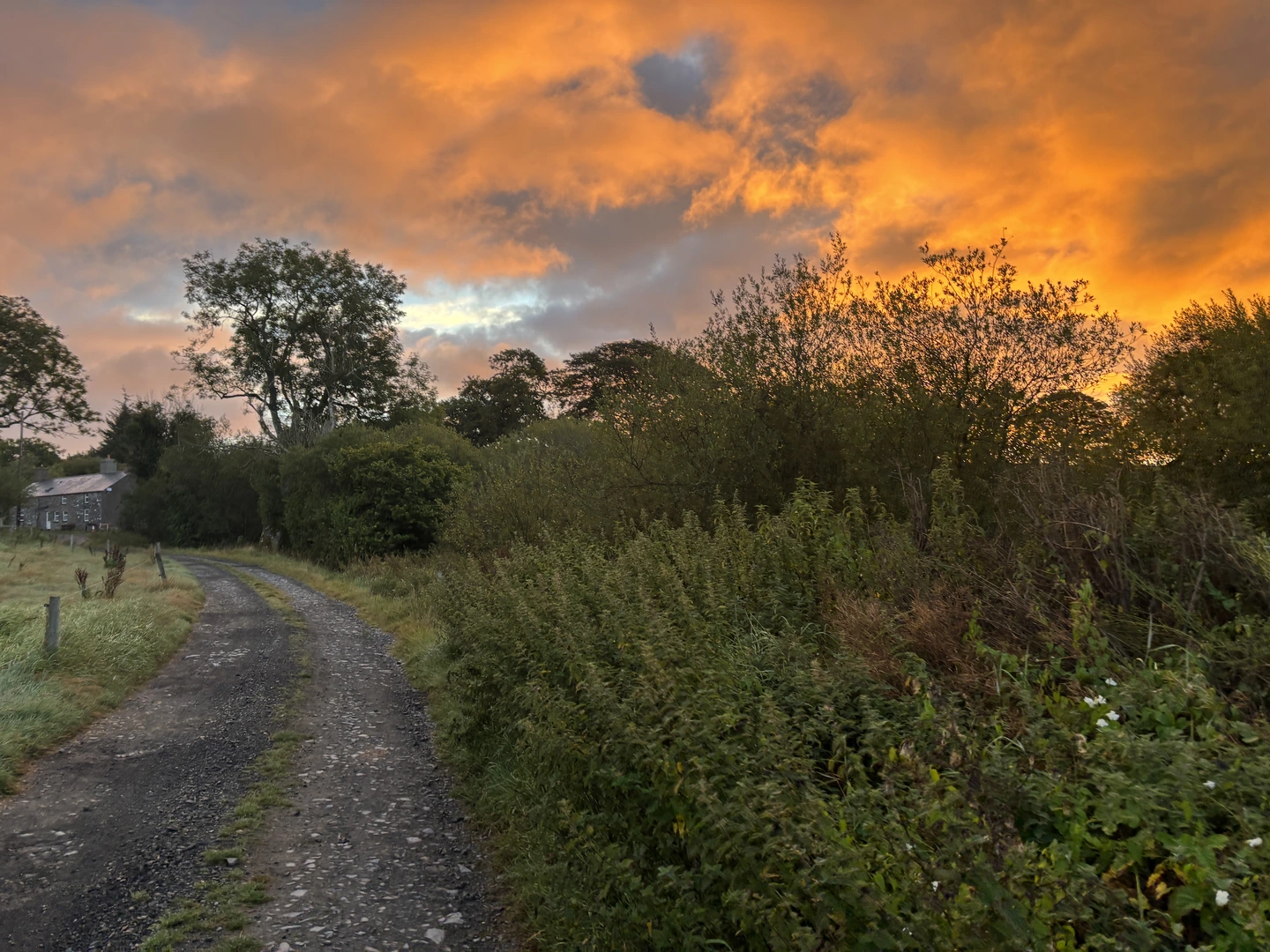 An image depicting the trail Hiraethog Trail - Stage 1 (Pentrefoelas to Llanfihangel Glyn Myfyr) and its surrounding area.