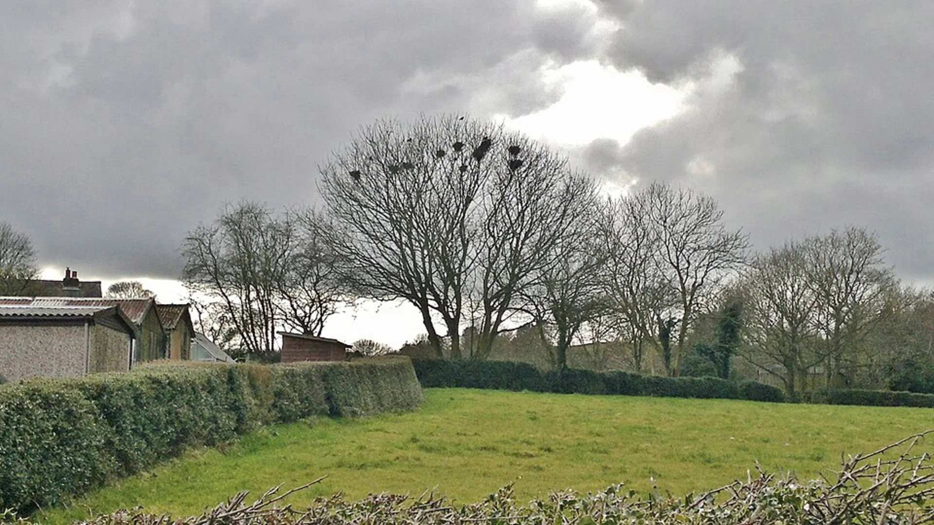 An image depicting the trail Calke Wood Walk and its surrounding area.