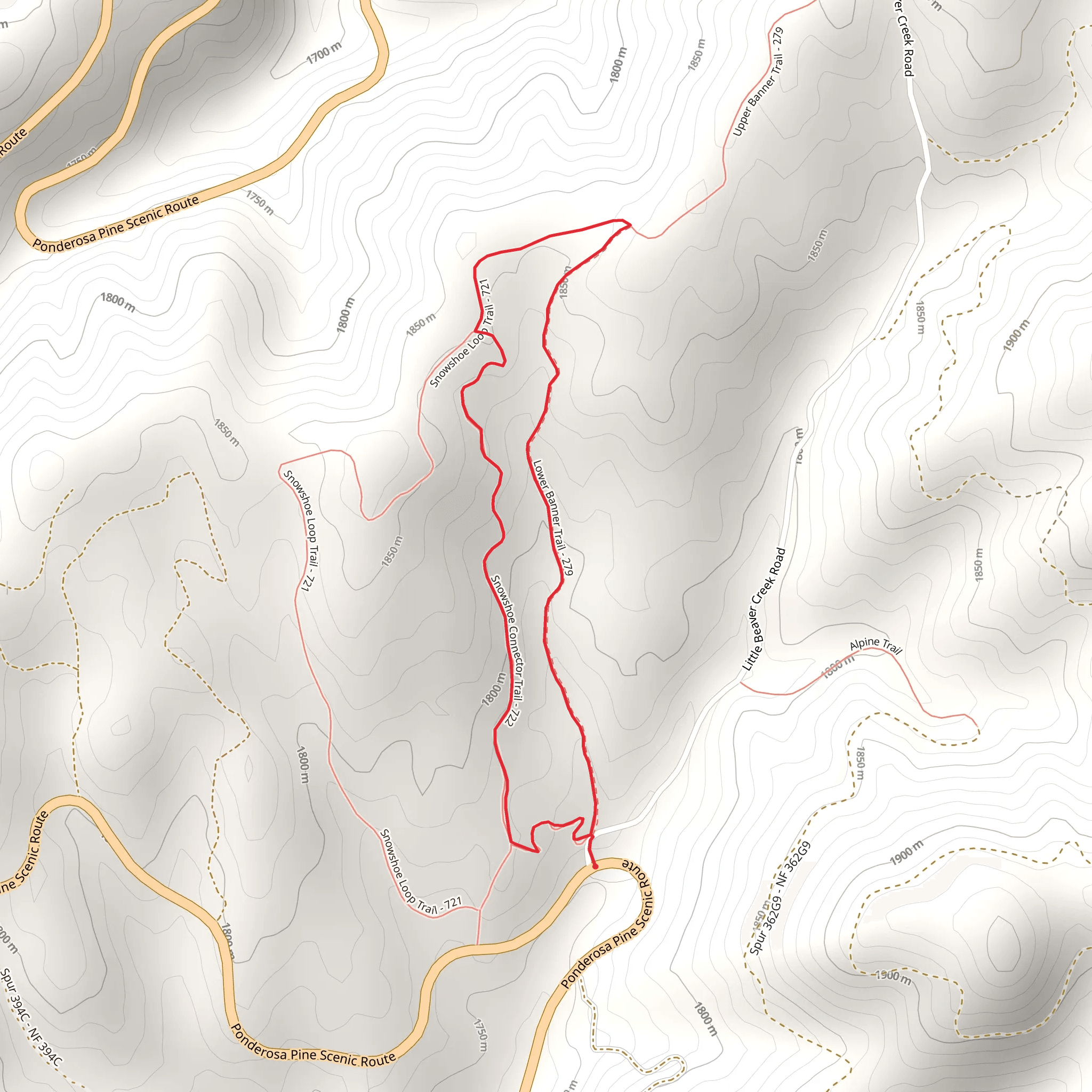 Lower Banner Trail and Snowshoe Connector Trail Loop mobile static map