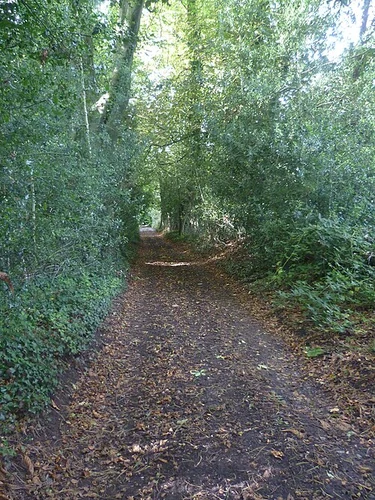 Trosley Country Park and River Medway