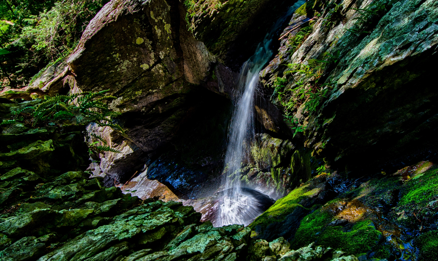 An image depicting the trail Tumbling Waters Trail and its surrounding area.