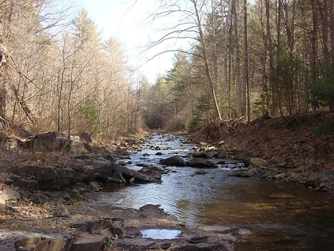 Jerrys Trail via Shenandoah Mountain Trail