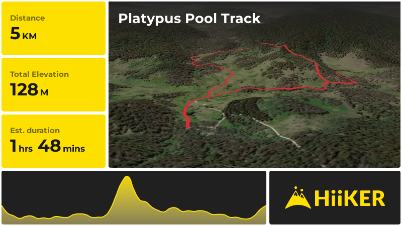 Platypus Pool Track | Walcha | New South Wales
