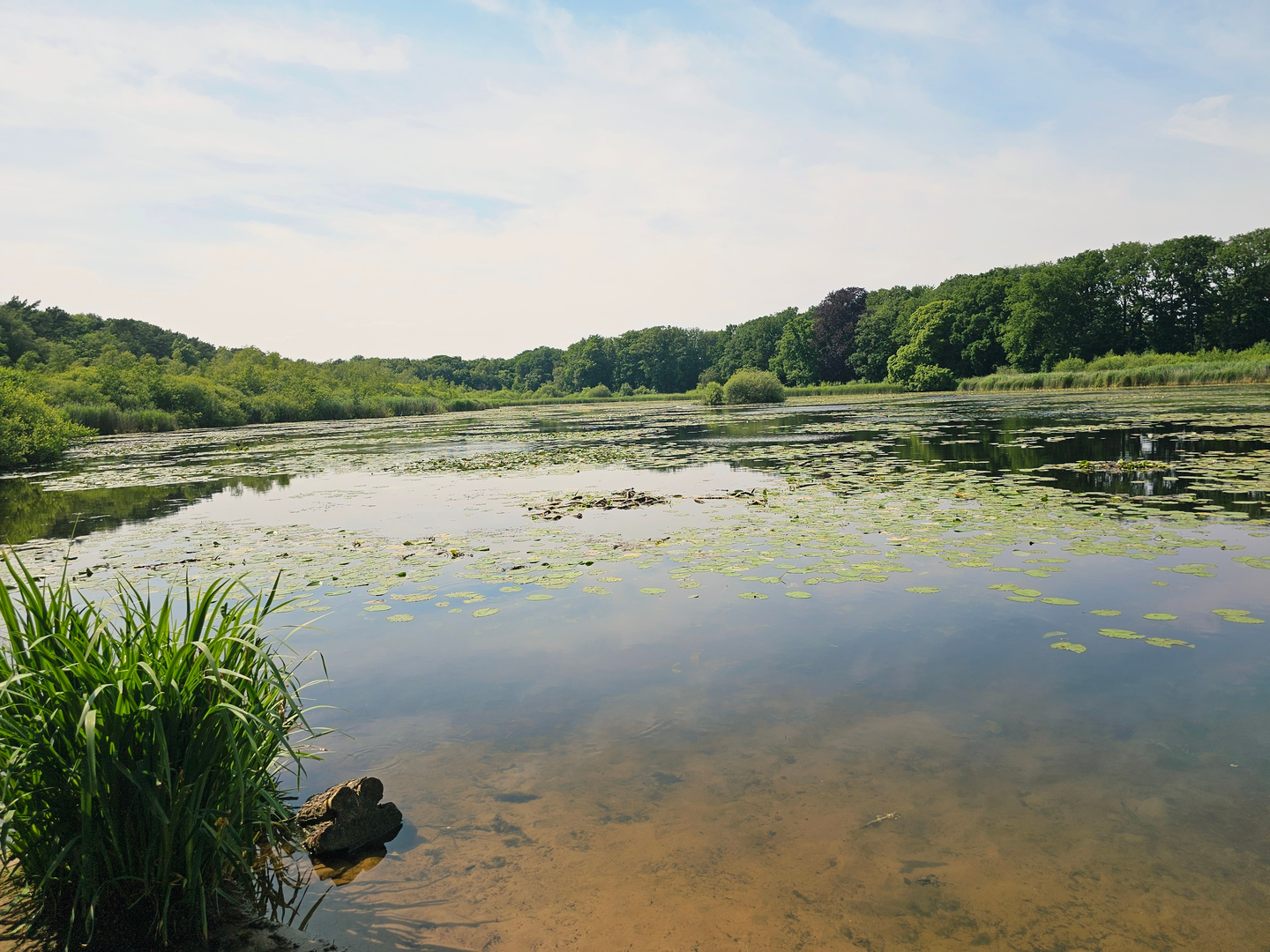 An image depicting the trail Lonnekerberg and Lonnekermeer via Sniedersveldweg and Witbreuksweg and its surrounding area.
