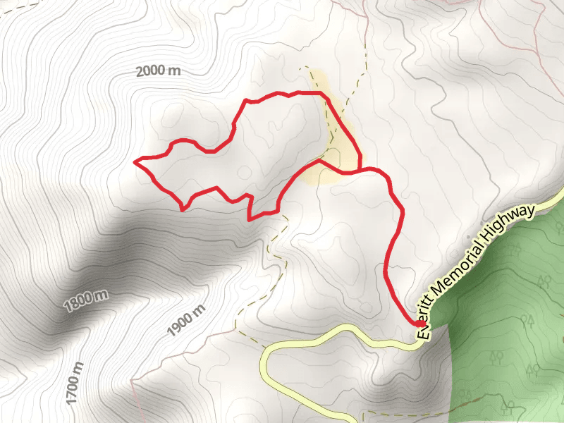 Overlook Loop - Sand Flat Winter Trails