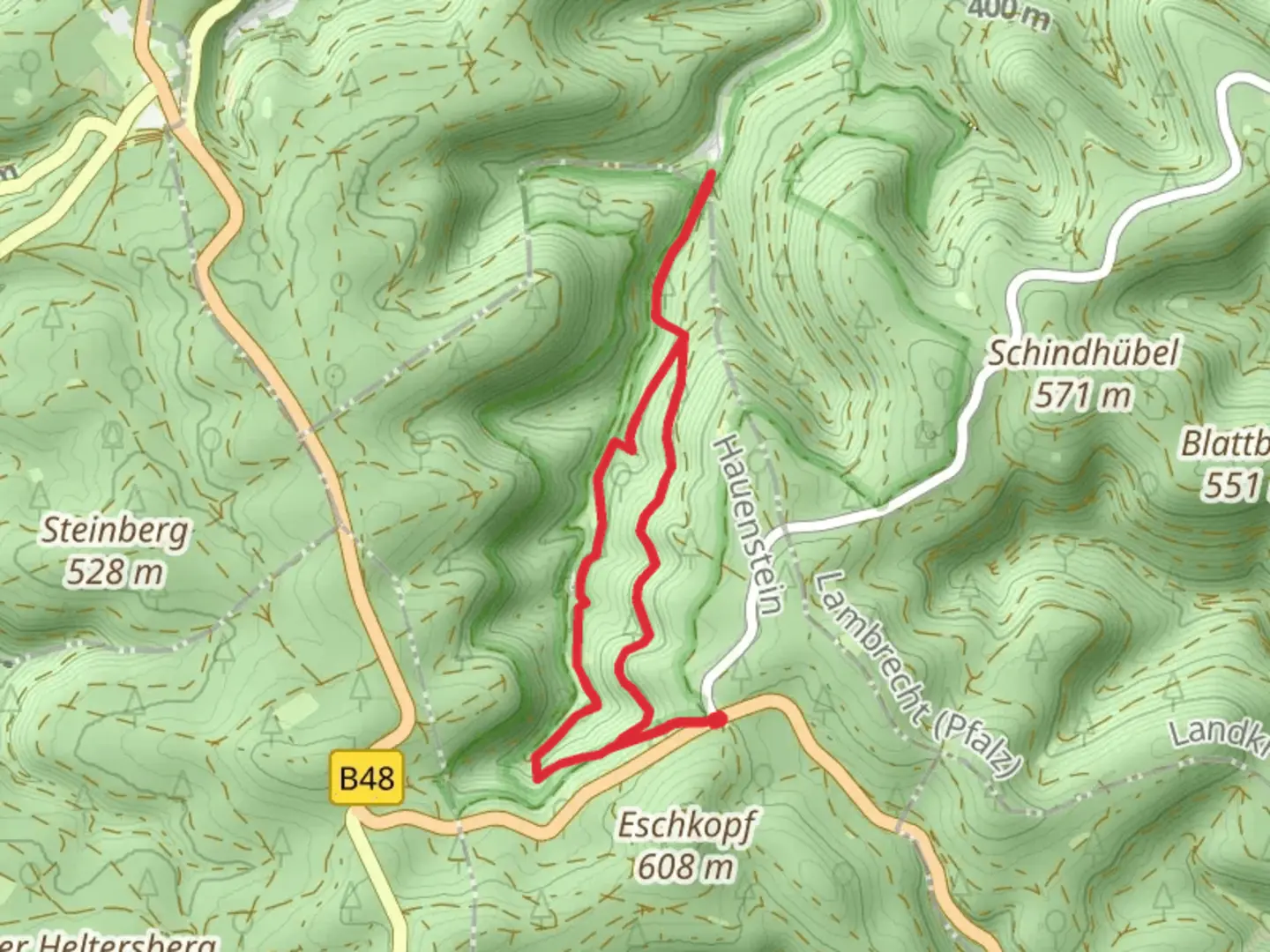 Erlenbach Loop | Südwestpfalz | Germany