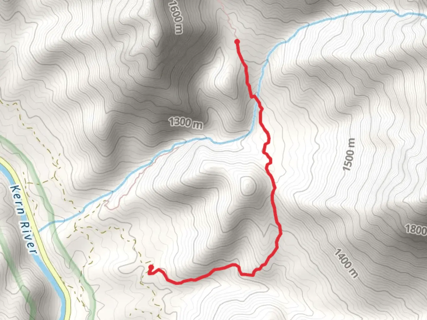 An image depicting the trail Rincon Trail - Short from Forest Route 24S89 and its surrounding area.