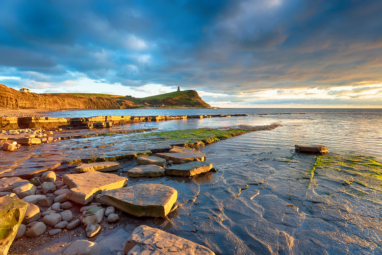 Corfe Castle to Kimmeridge Walk