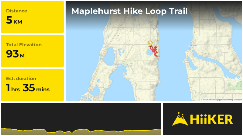 Maplehurst Hike Loop Trail | Antrim County | Michigan