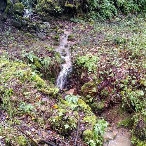 Alma and Redwood Springs Loop Trail