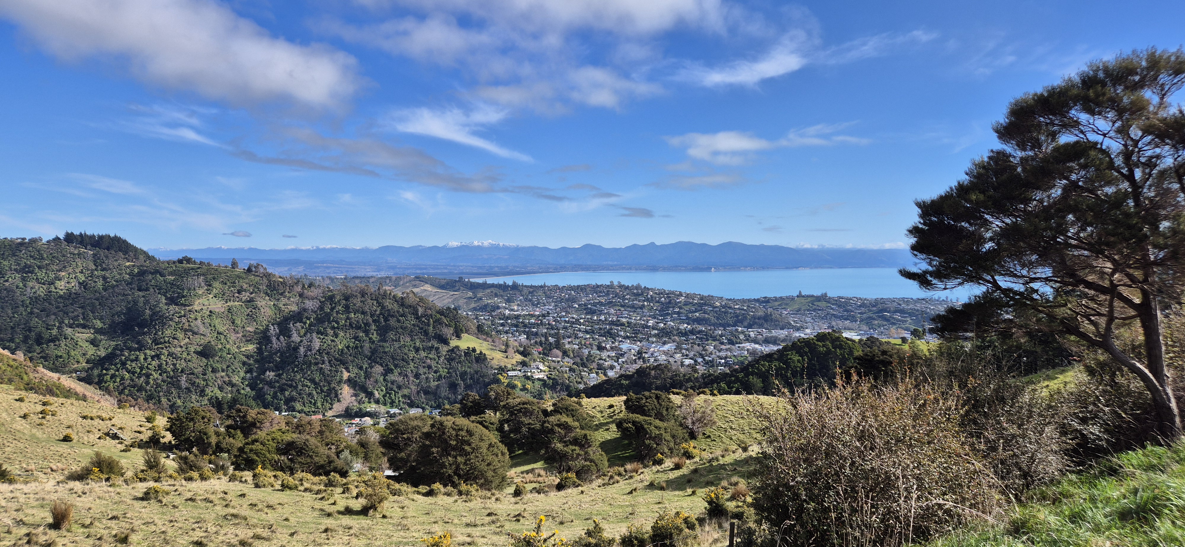 A map preview of the recording Hike on Cleeveland trc, Jacks Track to Maitai golf course Loop.