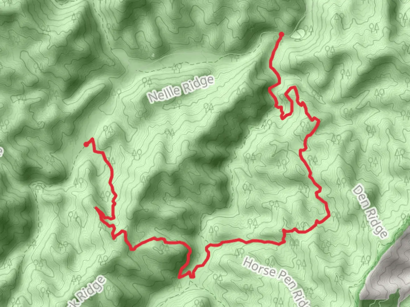 An image depicting the trail Big Fork Ridge and Boogerman Trail and its surrounding area.