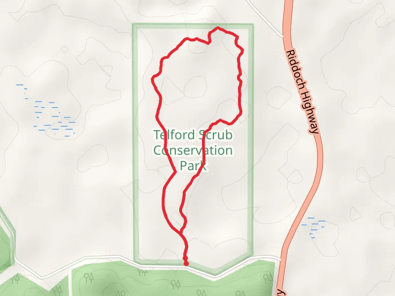 Stringybark Forest Walk