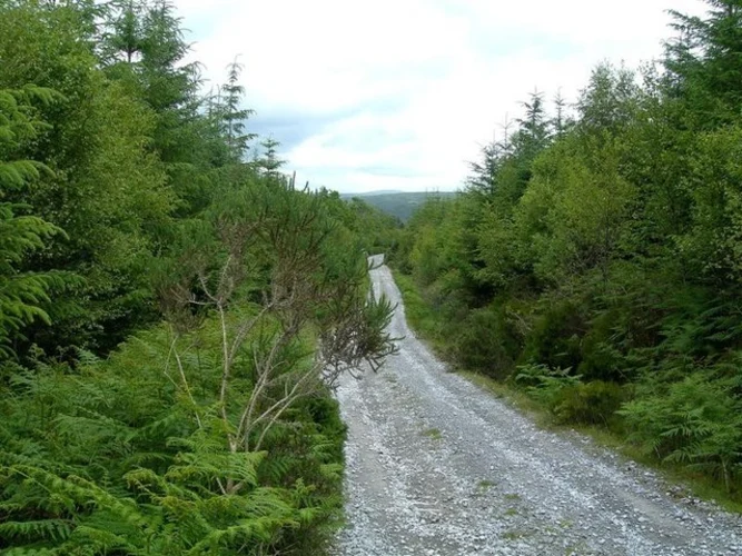 Carrigawaddra and Crohane Loop from Kilbonane