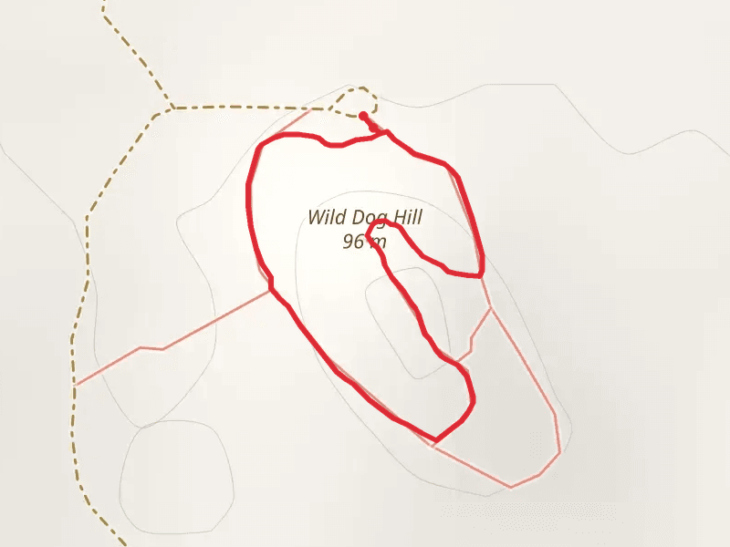 Wild Dog Hill Walk