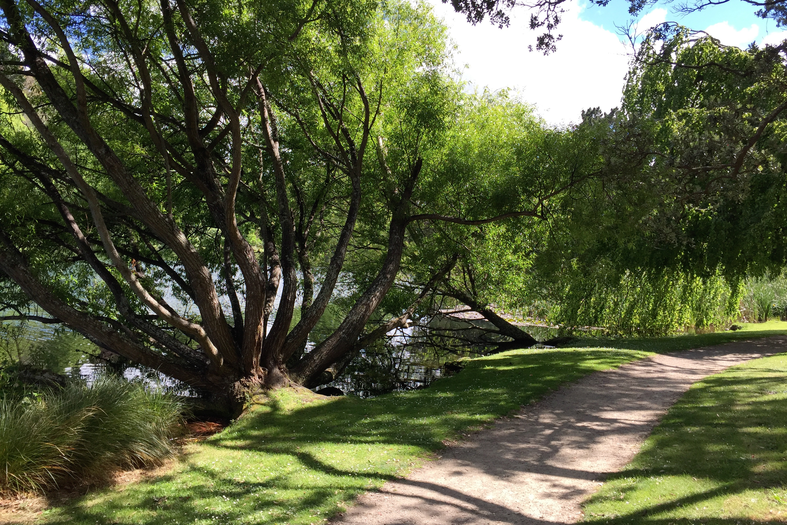An image depicting the trail Rotokawau Virginia Lake Walk and its surrounding area.