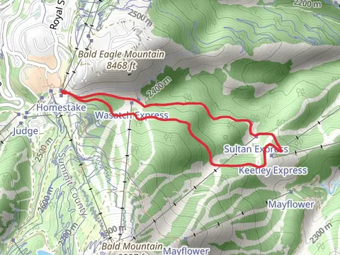 Sultan Loop