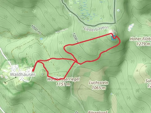 Lusen Loop via Luchs