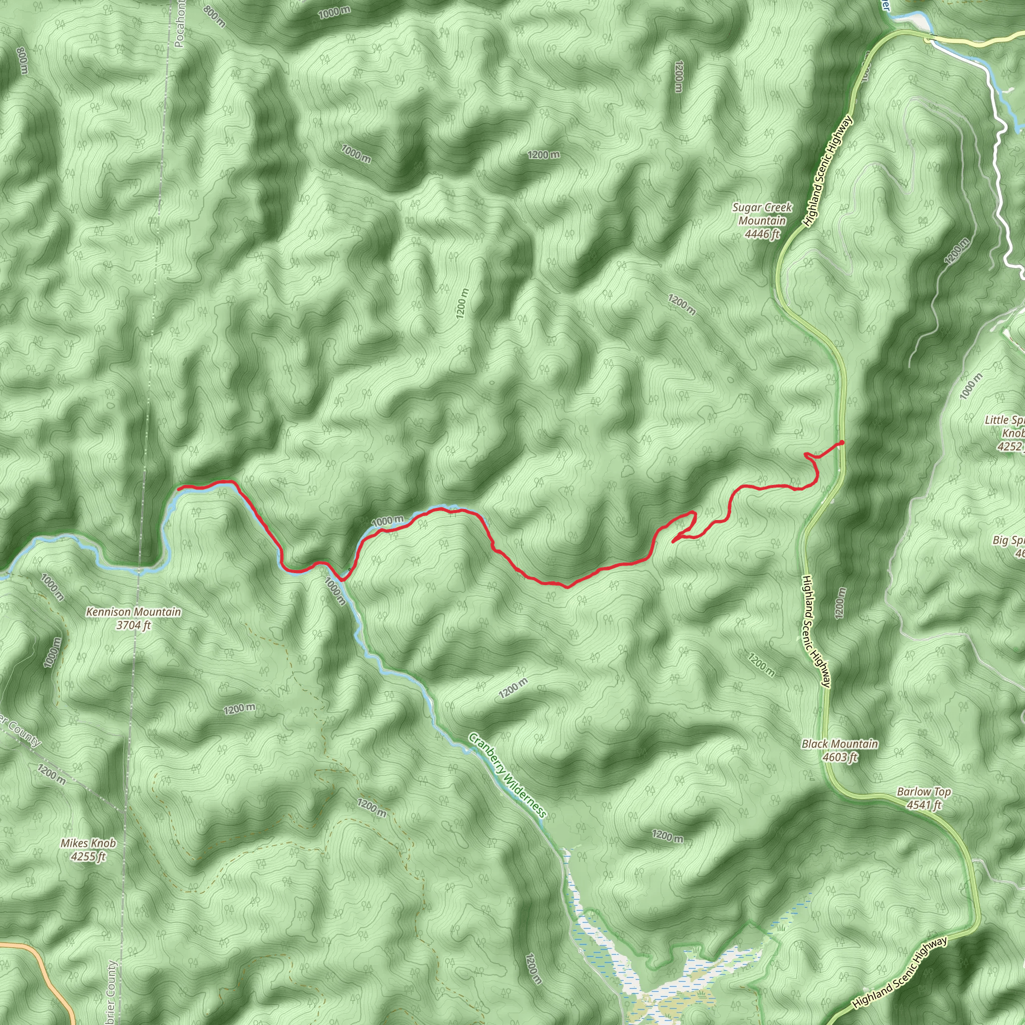 Cranberry River via North Fork Trail mobile static map