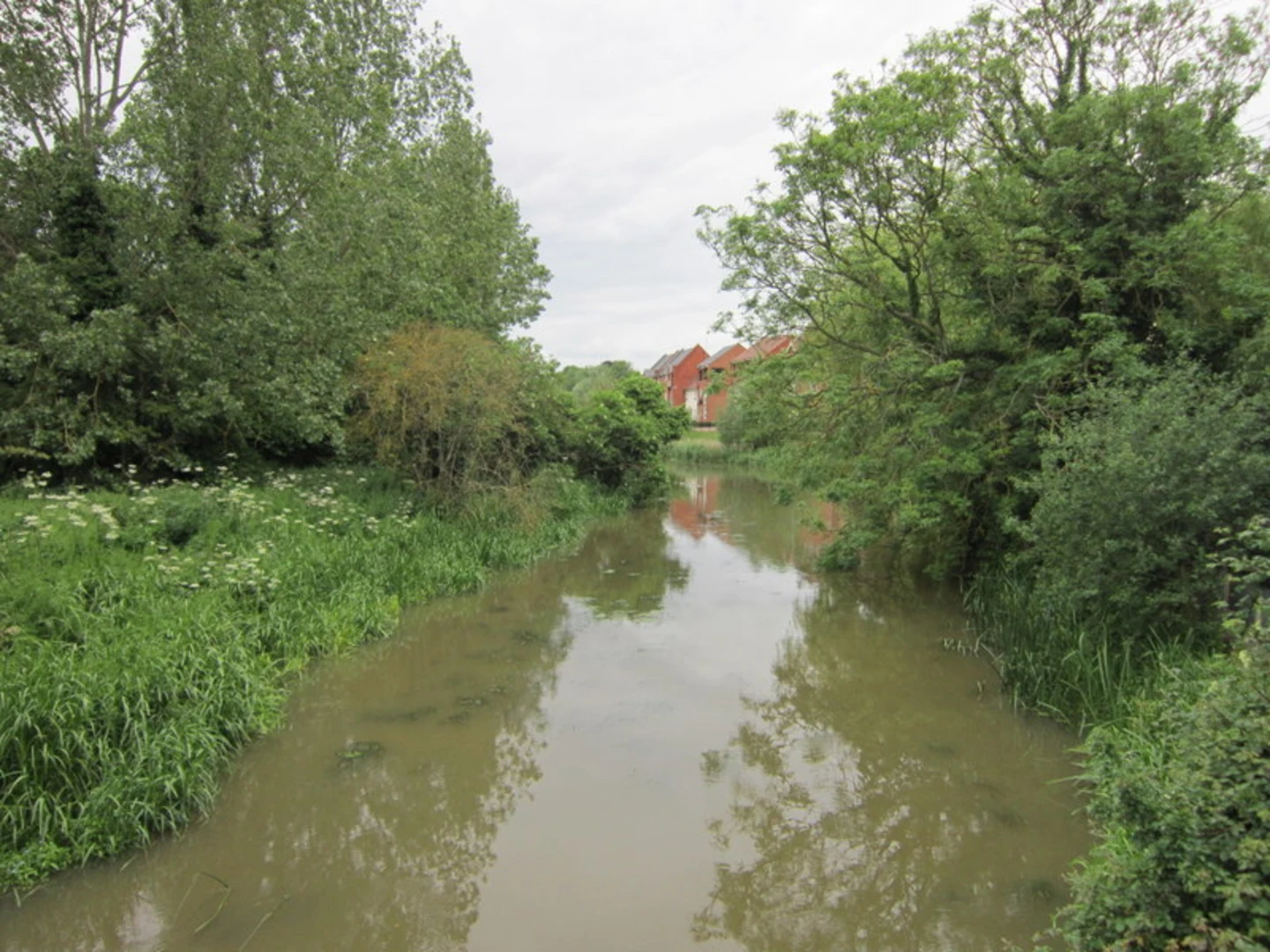 An image depicting the trail Olney Loop and its surrounding area.