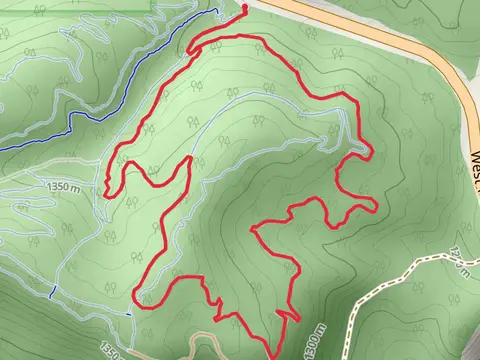 Stumpy and Buzzard's Loop